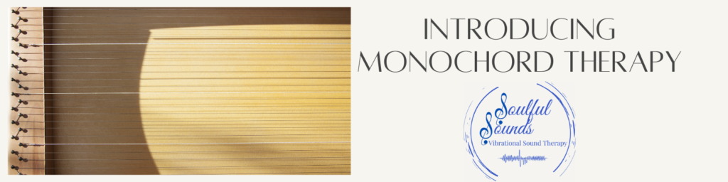 Introducing Monochord Therapy LinkedIn Banner